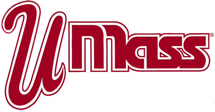 Massachusetts Minutemen 1993-2002 Primary Logo DIY iron on transfer (heat transfer)